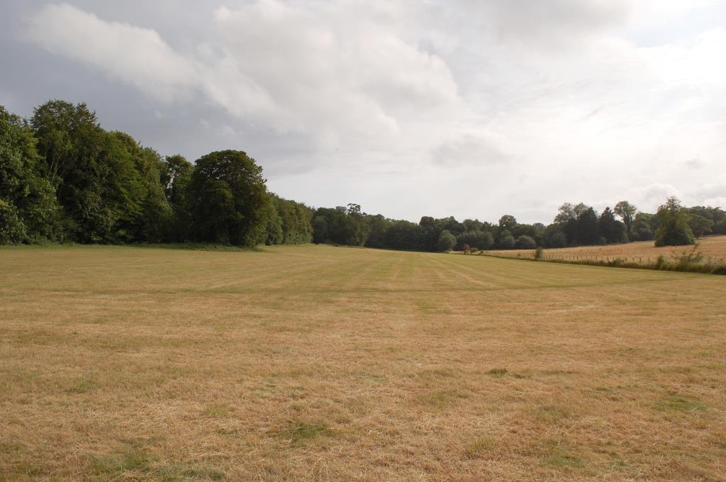 Lot: 106 - ALMOST EIGHT AND A HALF ACRES OF LAND - General view